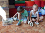 Zvířátkový den ve školce